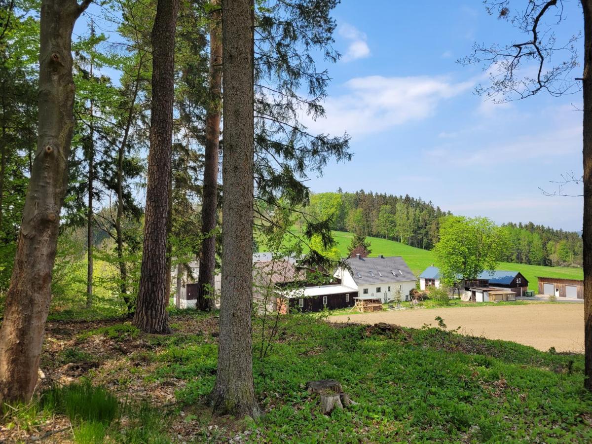 Ruhig Gelegene, Top Moderne Ferienwohnung - Hot Tub Und Sauna Gegen Aufpreis Neuhaus an Der Eger Luaran gambar