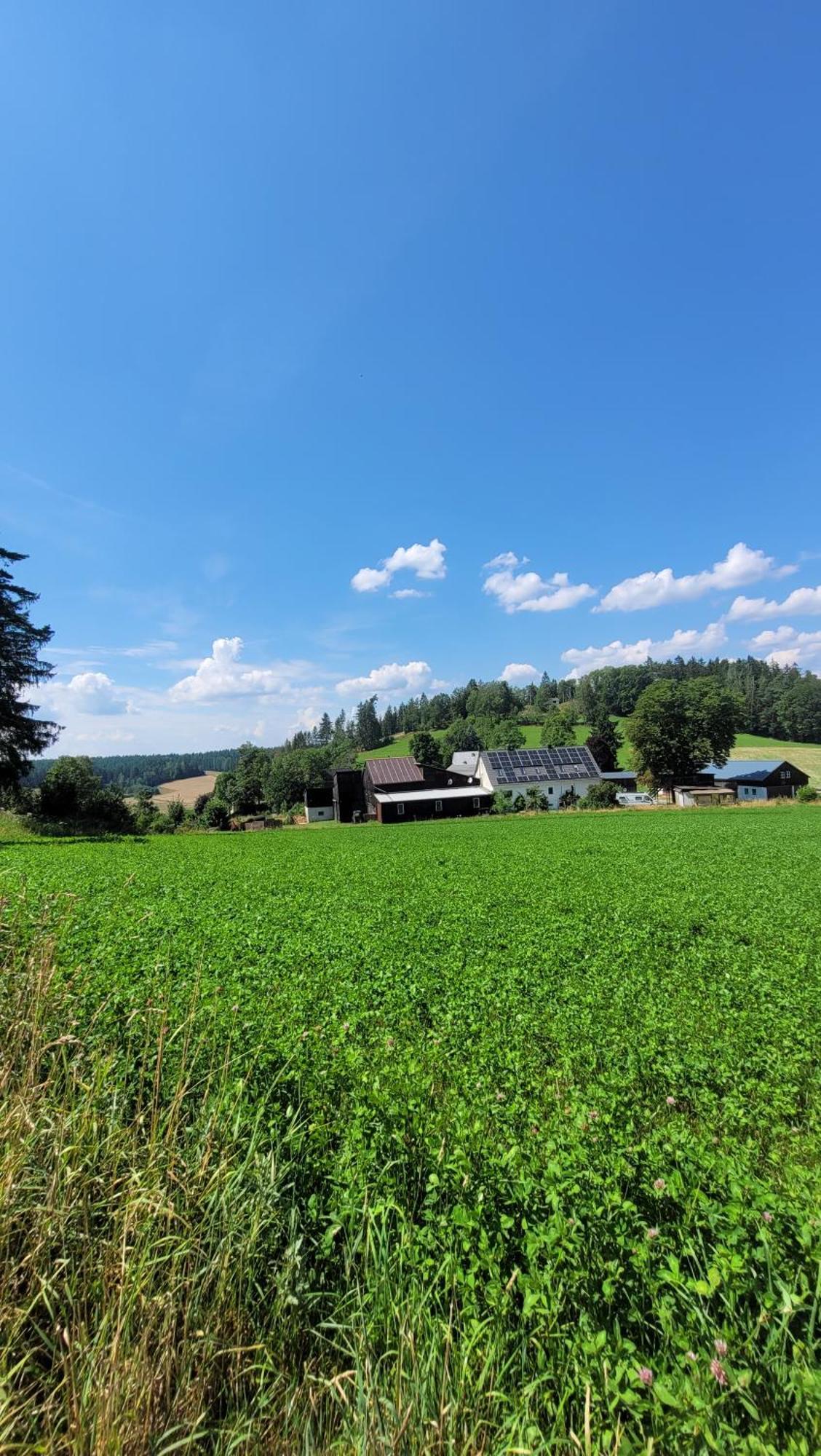 Ruhig Gelegene, Top Moderne Ferienwohnung - Hot Tub Und Sauna Gegen Aufpreis Neuhaus an Der Eger Luaran gambar