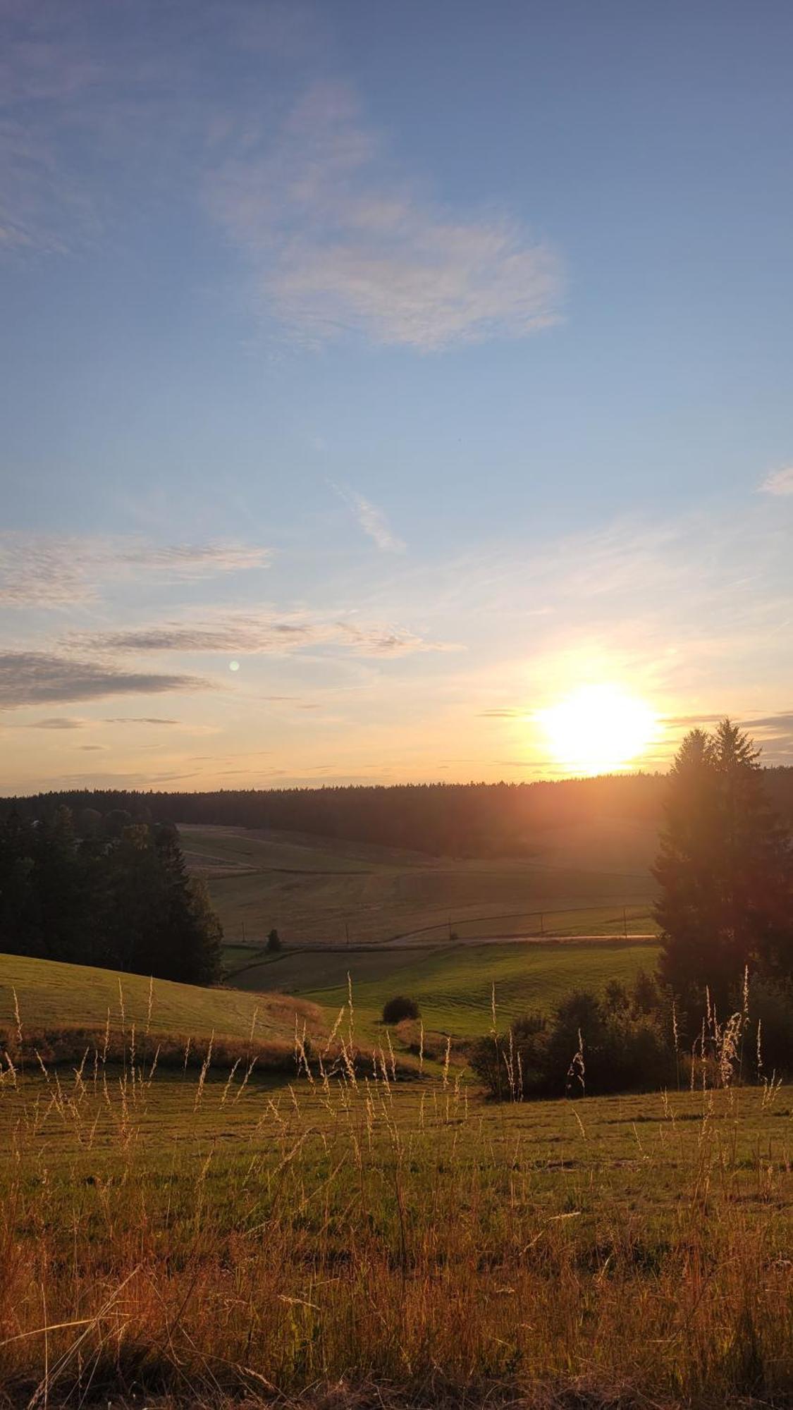 Ruhig Gelegene, Top Moderne Ferienwohnung - Hot Tub Und Sauna Gegen Aufpreis Neuhaus an Der Eger Luaran gambar